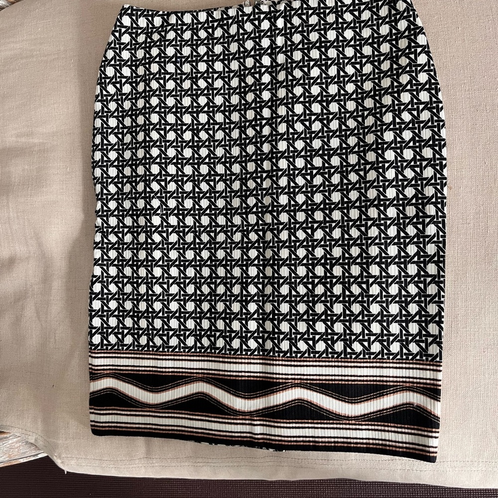 Elegant Anne Taylor skirt